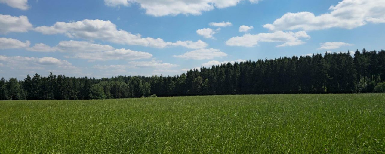 Gemeinde Hawangen im Unterallgäu Dein Allgäu