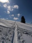 Aufstieg zur Grüntenhütte bei einer Skitour