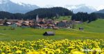 Dein Allgäu - Das Informationsportal - Blick auf ein Dorf im Oberallgäu