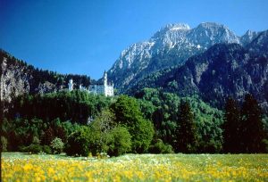 Schloss Neuschwanstein Füssen / Schwangau